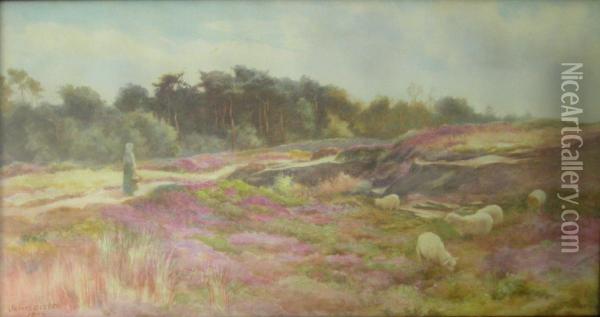 Tending The Sheep Oil Painting - James Aitken