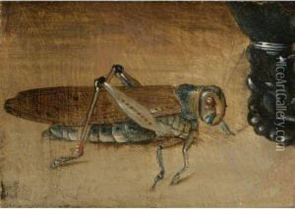 A Grasshopper Beside A Roemer: A Fragment Oil Painting - Clara Peeters