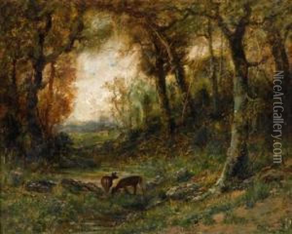 Forest Interior With Deer Oil Painting - Christopher H. Shearer