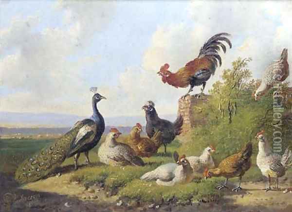 A peacock and poultry in a sunny meadow Oil Painting - Albertus Verhoesen