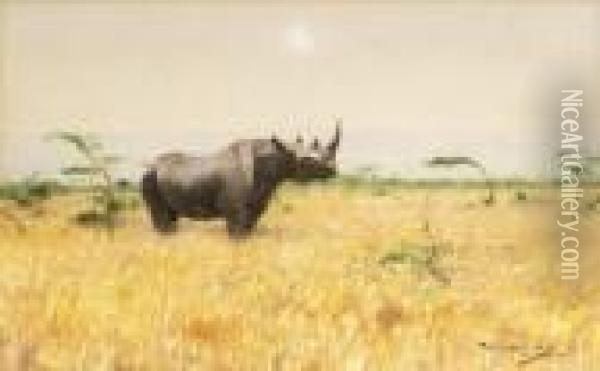 Nashorn In Der Steppe. Oil Painting - Wilhelm Kuhnert
