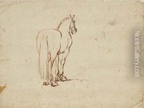 A Horse, Seen From Behind Oil Painting - Stefano della Bella