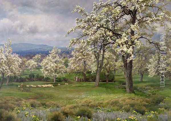 The Pear Orchard, c.1903 Oil Painting - Alfred Parsons