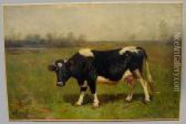Cow In Pasture Oil Painting - Scott Leighton