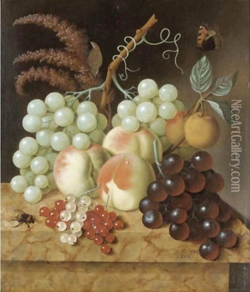 Still Life With Peaches, Apricots, Grapes, Berries, A Fly And A Butterfly On A Marble Ledge Oil Painting - Jan Evert Morel