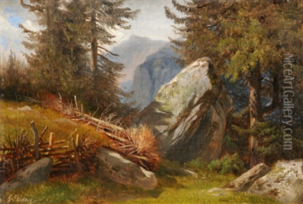Alpine Landschaftsstudie Oil Painting - Francois Diday