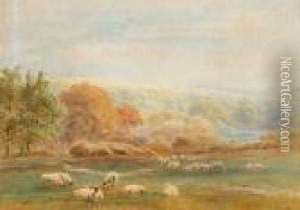 Sheep Grazing In A Landscape Oil Painting - Roberto Angelo Kittermaster Marshall