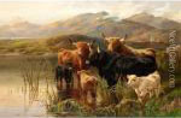 Cattle In The Highlands Oil Painting - Robert Watson