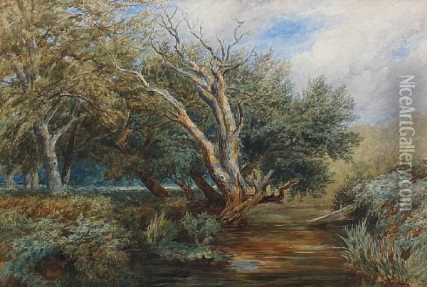 Silent Pool, Border Of The New Forest Oil Painting - Frederick Clive Newcombe