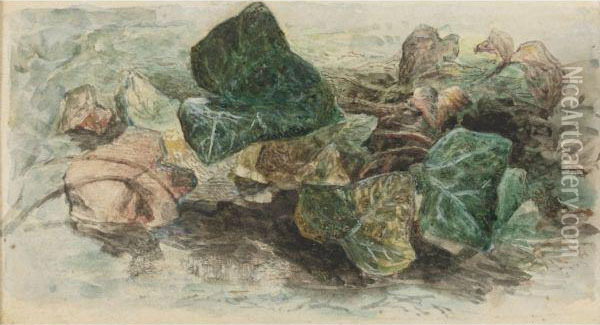 Study Of Ivy Oil Painting - Edward Thompson Davis