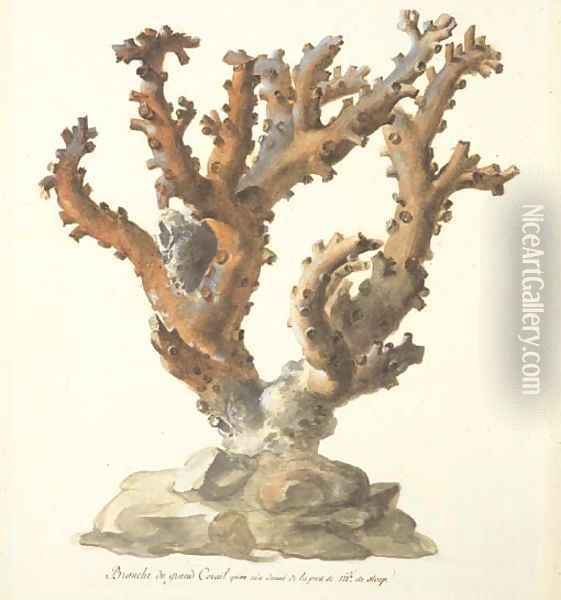A large branch of coral Oil Painting - French School