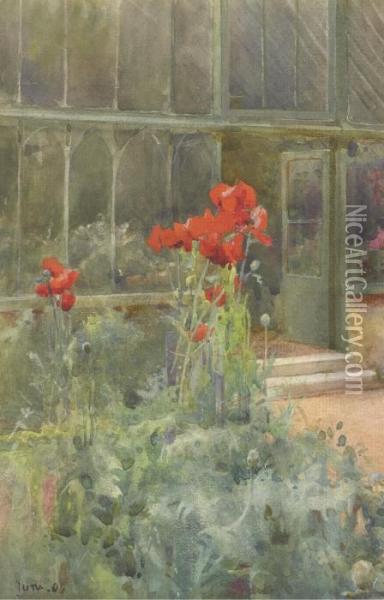 Foxgloves; Poppies Oil Painting - Mildred Anne Butler