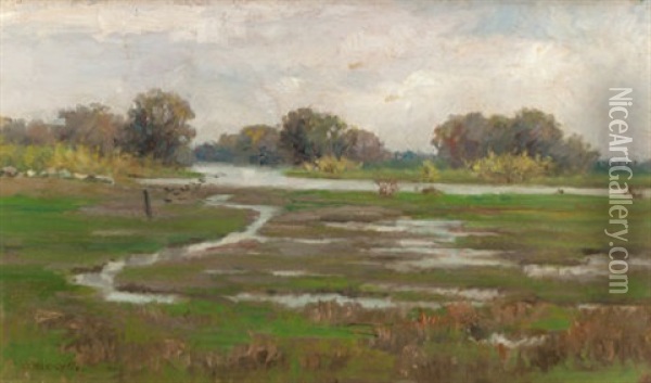 River Landscape With Marshes Oil Painting - Alice Marian Curtis