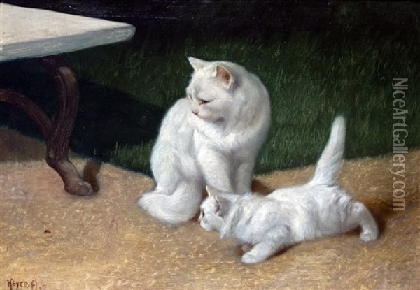 Cat With Her Kitten In The Garden Oil Painting - Arthur Heyer
