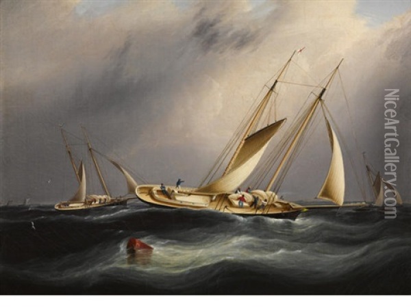 Schooners From The New York Yacht Club Reefing Off Sandy Hook Oil Painting - James Edward Buttersworth