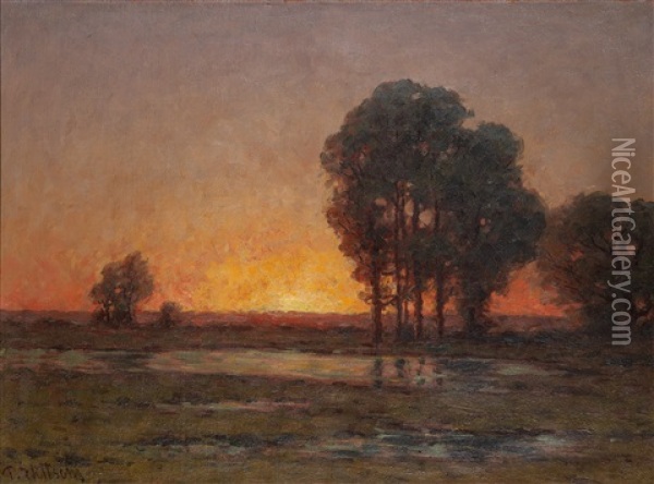 Solnedgang Over Oland Oil Painting - Per Ekstroem