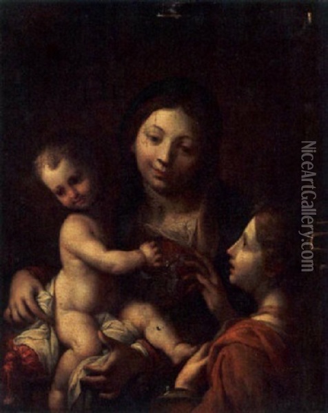 The Madonna And Child With St. Catherine Oil Painting - Francesco Albani