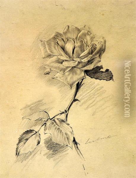 Zwei Bleistiftzeichnungen: Rosenstudien Oil Painting - Leo Arndt