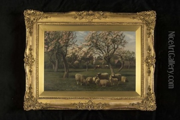 Sheep And Cattle In An Orchard In Spring Oil Painting - William Sidney Cooper