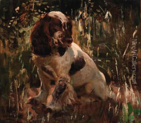 A Spaniel Oil Painting - Dorothy Adamson