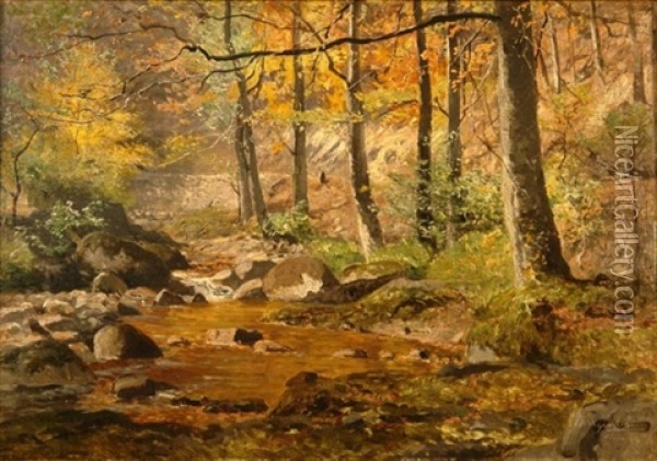 Blick In Herbstlich Gefarbten Wald Mit Bachlauf Oil Painting - Adolf Gustav Schweitzer