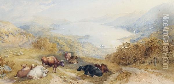 Cattle Resting Above Coniston Lake Oil Painting - Cornelius Pearson