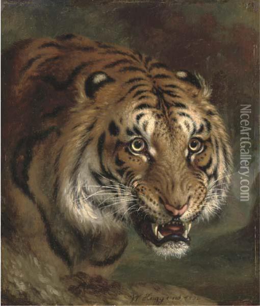 A Bengal Tiger Oil Painting - William Huggins