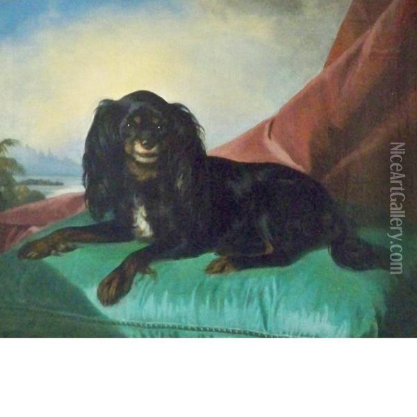 King Charles Spaniel Oil Painting - Ferdinand Krumholz