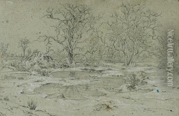 Arbres Au Bord D'une Mare En Foret De Fontainebleau Oil Painting - Theodore Rousseau