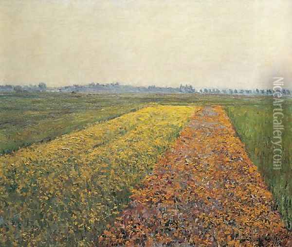 The Yellow Fields At Gennevilliers Oil Painting - Gustave Caillebotte