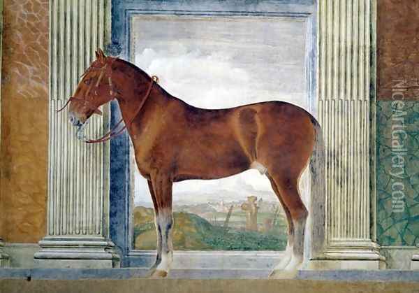 Sala dei Cavalli, detail showing a portrait of a chestnut horse from the stables of Ludovico Gonzaga III of Mantua, 1528 Oil Painting - Giulio Romano (Orbetto)