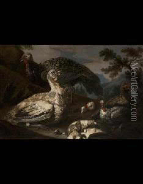 Natura Morta Con Tacchini E Frutti Oil Painting - Michele Pace Del (Michelangelo di) Campidoglio