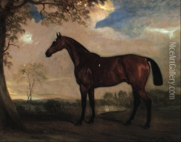 Portrait Of A Hunter Mare, The Property Of Robert Shafto Of Durham Oil Painting - John Ferneley Jr.
