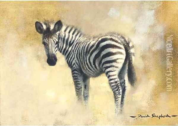 A baby zebra Oil Painting - Thomas Hosmer Shepherd