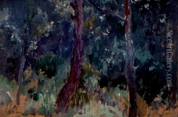 Paisaje Nocturno Oil Painting - Eliseo Meifren y Roig