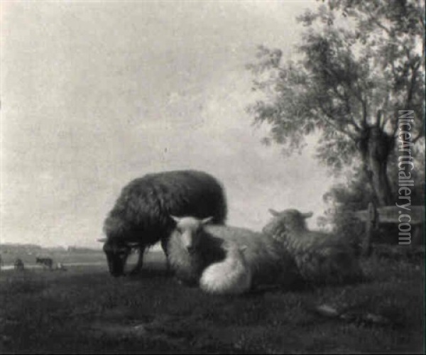 Sheep In A Wooded Meadow Oil Painting - Hendrik van de Sande Bakhuyzen