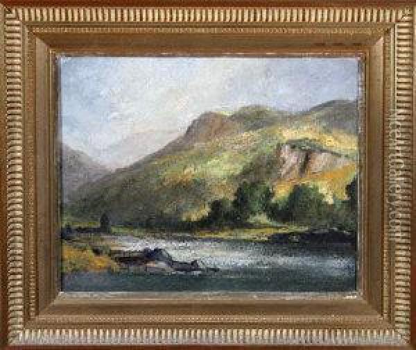 A Misty Hillside Overlooking A Lake Oil Painting - Frank Thomas,francis Carter
