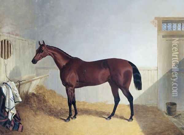 Beeswing A Dark Bay Racehorse 1842 Oil Painting - John Frederick Herring Snr