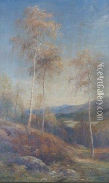 Birch Trees With Stag Oil Painting - John MacWhirter