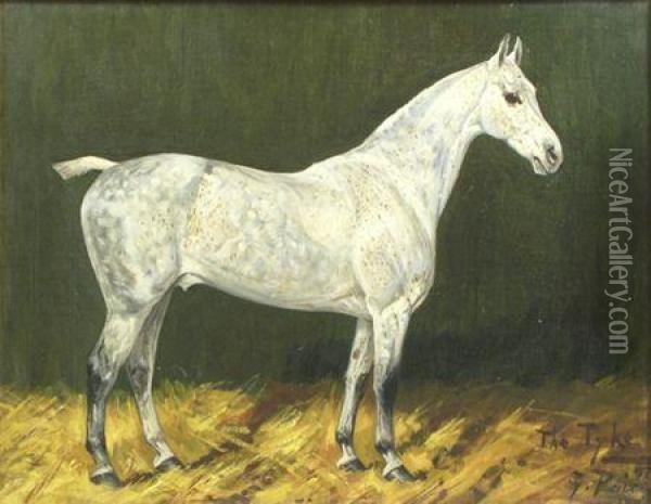 The Tyke'- A Grey Hunter In Astable Oil Painting - George Paice