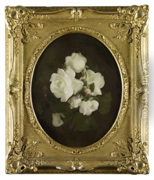 A Still Life Of White Roses Oil Painting - Stuart James Park