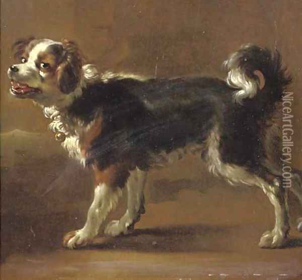 Een Kooikerhond Oil Painting - Adriaen Cornelisz. Beeldemaker