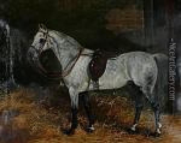 Potrait Of A Grey In A Stable Oil Painting - Arthur Batt