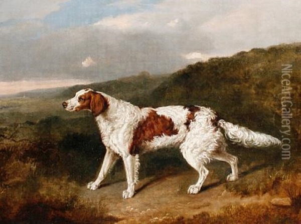 A Setter In A Landscape Oil Painting - Abraham Cooper