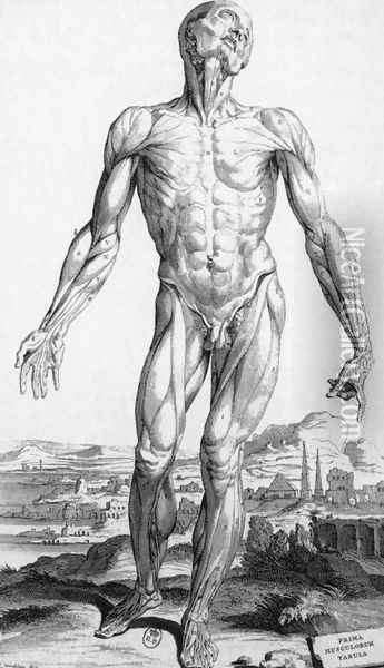 Anatomy 1543 Oil Painting - Andreas Vesalius