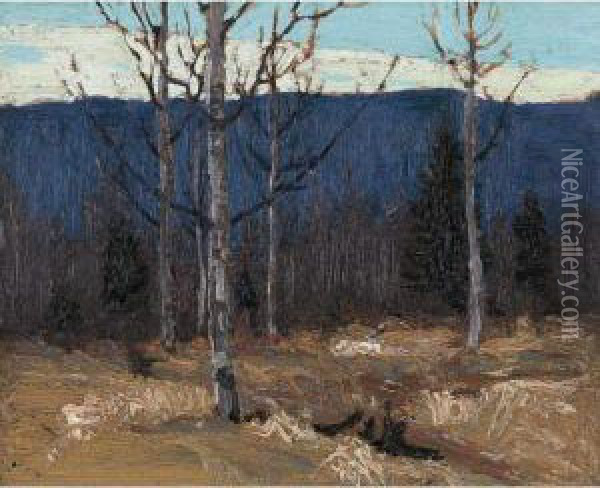 Hillside On Big Cauchon Lake - Algonquin Park Oil Painting - Tom Thomson