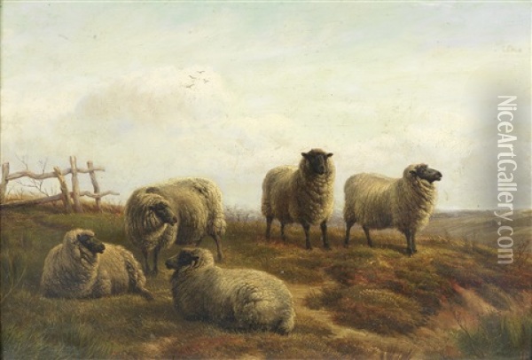 Sheep On Moorland Oil Painting - Charles Jones