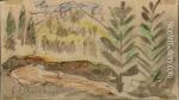 Forest Landscape Oil Painting - Ernst Ludwig Kirchner