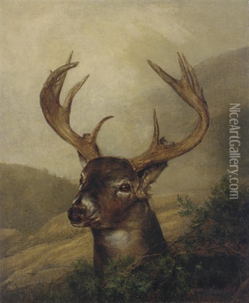 A Stag In A Mountainous Landscape Oil Painting - Jeremiah P. Hardy