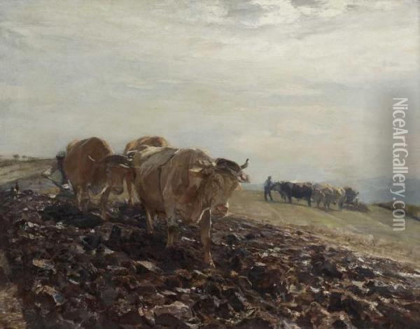Pflugender Bauer Oil Painting - Heinrich Johann Von Zugel
